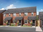 Thumbnail to rent in "The Alnwick" at Yellowhammer Way, Calverton, Nottingham
