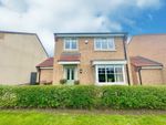 Thumbnail to rent in Buttercup Grove, Stainton, Middlesbrough