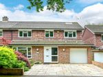 Thumbnail for sale in Juniper Close, Guildford
