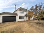 Thumbnail to rent in Couchmore Avenue, Esher, Surrey