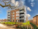 Thumbnail to rent in Elm Road, Blythe Valley Park, Shirley, Solihull