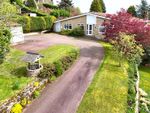 Thumbnail for sale in Kings Drive, Hopton, Staffordshire
