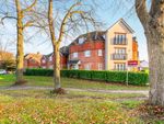 Thumbnail for sale in Limes Close, Redhill