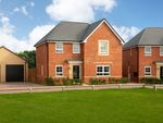 Thumbnail for sale in "Radleigh" at Eastrea Road, Eastrea, Whittlesey, Peterborough