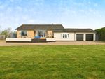 Thumbnail for sale in Redenhall Road, Redenhall, Harleston