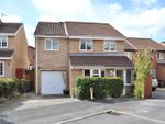 Thumbnail to rent in Marigold Close, Swindon, Wiltshire