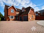 Thumbnail to rent in Fairways, Braiswick, Colchester