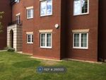 Thumbnail to rent in Dingle Lane, Solihull