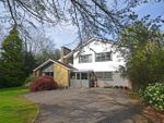 Thumbnail for sale in Close To Amenities, Storrington