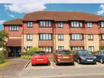 Thumbnail to rent in Anglia Court, Spring Close
