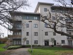 Thumbnail to rent in Rollason Way, Brentwood