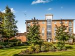 Thumbnail to rent in St. Josephs Green, Welwyn Garden City