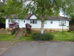 Thumbnail to rent in Warfield Park, Bracknell