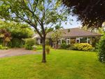 Thumbnail for sale in Alandale Road, Birdham, Chichester