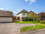 Thumbnail to rent in 53 Plainwood Close, Chichester, West Sussex