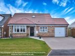 Thumbnail for sale in Plot 59, The Beadnell, Dunmoor Road, Belford