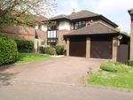 Thumbnail to rent in Clavering Way, Brentwood