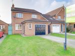 Thumbnail to rent in Nursery Court, Brough