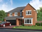Thumbnail for sale in "The Bayford" at Welwyn Road, Ingleby Barwick, Stockton-On-Tees