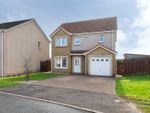 Thumbnail for sale in Orchid Lane, Leven, Fife