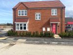 Thumbnail to rent in Alder Avenue, Humberston, Grimsby, Lincolnshire