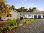 Thumbnail to rent in Middlewood Park, Livingston