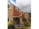 Thumbnail to rent in The Cedars, Harpenden