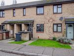 Thumbnail to rent in Tugby Place, Chelmsford