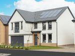 Thumbnail to rent in "Colville" at Gairnhill, Aberdeen