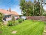 Thumbnail for sale in Walcups Lane, Great Massingham, King's Lynn