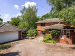 Thumbnail to rent in St. Leonards Hill, Windsor, Berkshire