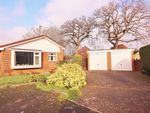 Thumbnail to rent in Fairbourne Close, Woking