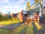 Thumbnail for sale in Bedford Close, Whitehill, Bordon, Hampshire