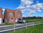 Thumbnail for sale in Willow Walk, Crediton