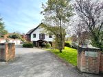 Thumbnail to rent in Farnham, Surrey