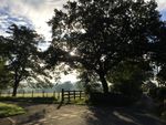 Thumbnail for sale in Caldew Bank Field, Cummersdale, Carlisle