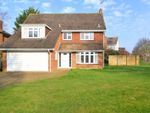 Thumbnail to rent in The Ridings, East Horsley