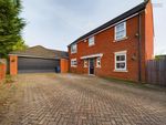 Thumbnail for sale in Harebell Drive, Yaxley, Peterborough