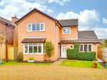 Thumbnail to rent in Cordell Close, St. Ives, Cambridgeshire