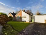 Thumbnail for sale in Beechwood Road, Nailsea, Bristol