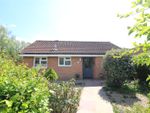 Thumbnail to rent in Ferndale Road, New Milton, Hampshire