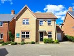 Thumbnail to rent in Potton, Bedfordshire