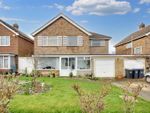 Thumbnail for sale in Ophir Road, Worthing