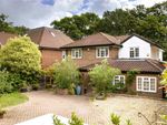 Thumbnail for sale in Henley Drive, Kingston Upon Thames