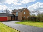 Thumbnail to rent in The Croft, Draycott