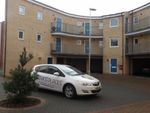 Thumbnail to rent in Spectre Court, Hatfield