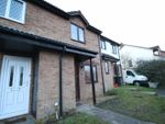 Thumbnail to rent in Lichen Close, Woodhall Park, Swindon