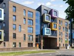 Thumbnail for sale in Golspie Street, Govan, Glasgow