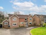 Thumbnail to rent in Newlands Park, Copthorne