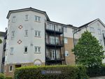 Thumbnail to rent in Anemone Court, Enfield